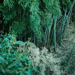 Log_20230321（demo）