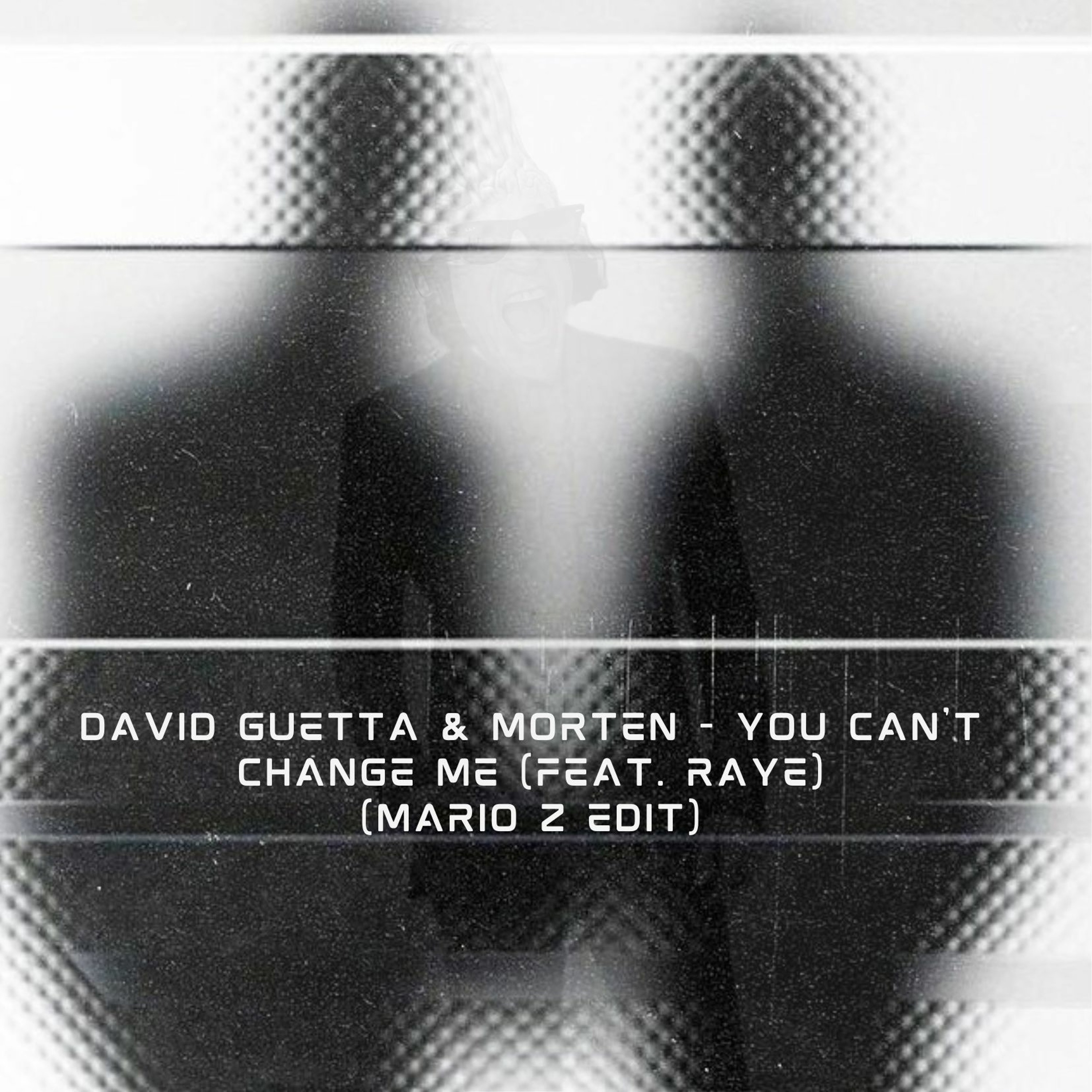 David Guetta & MORTEN - You Can't Change Me (feat. Raye) (Mario Z Edit) episode artwork