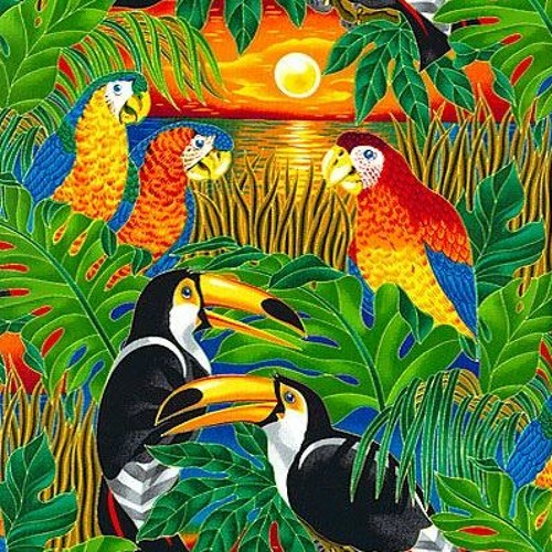 Birds Of Paradise Volume 4
