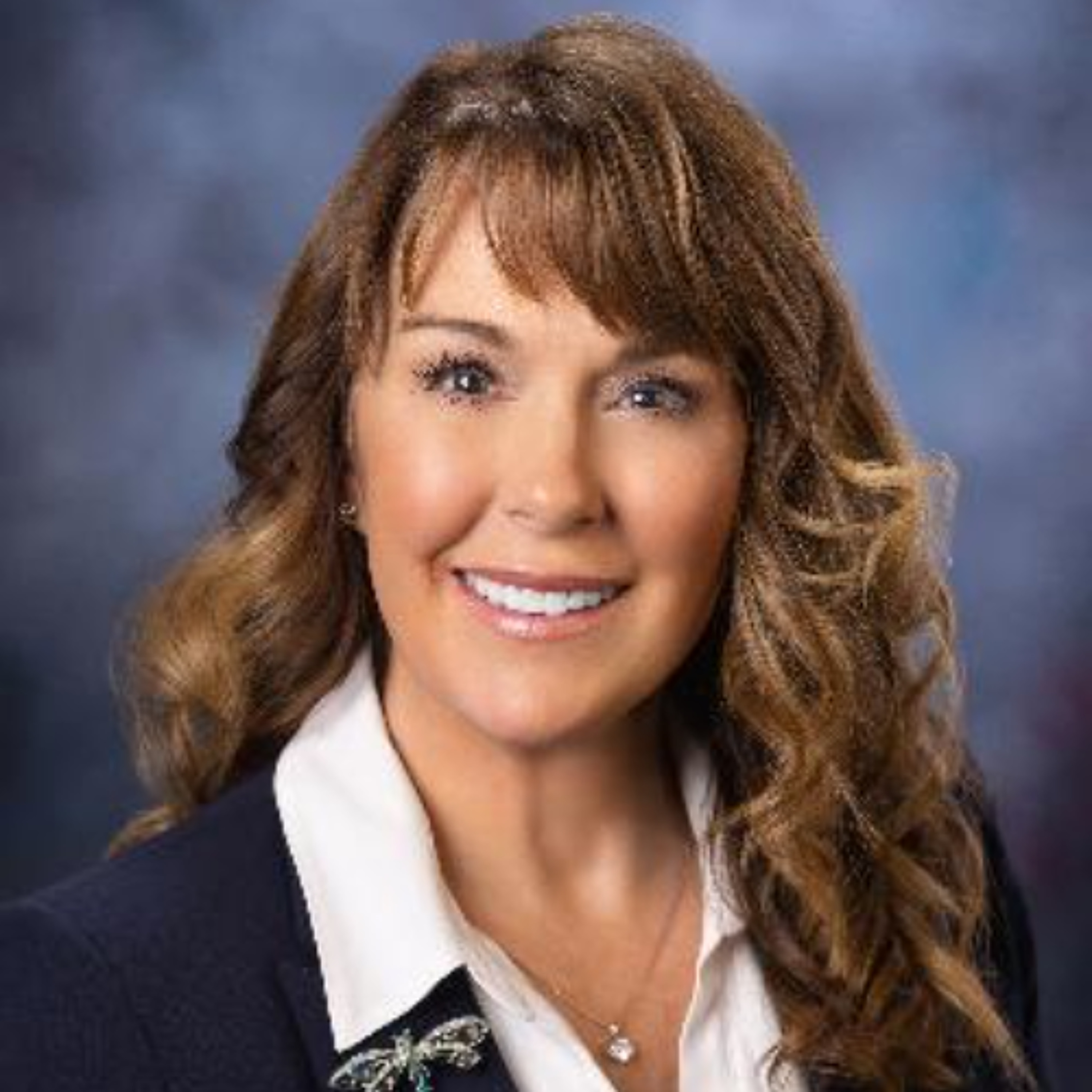 Interview with Representative Stephanie  Jo Mickelsen episode artwork