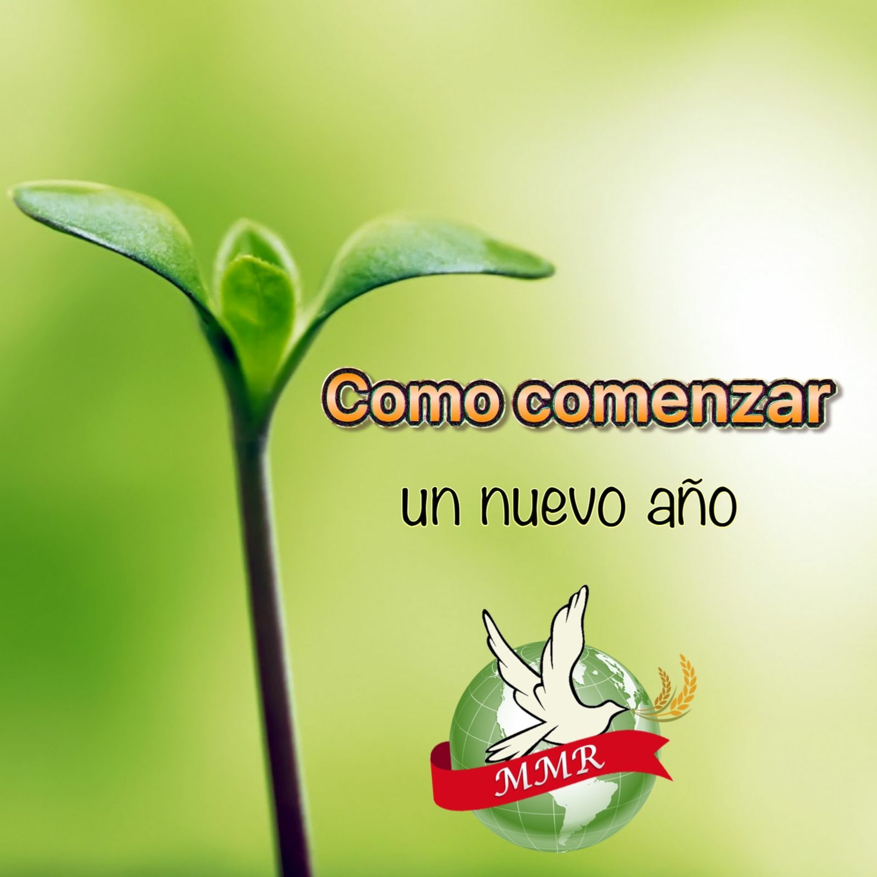 MMR Costa Rica