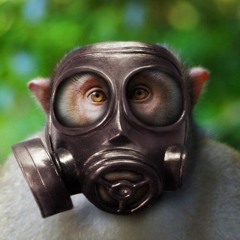 Ball Swingers Volume 22