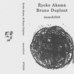 NTR026 - Ryoko Akama & Bruno Duplant - Immobilite - 01 "L'immobilite (n'existe Pas)"