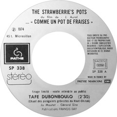 Tafé Dubonboulo - The Strawberrie's Pot