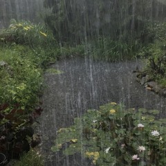 слишком влюблен