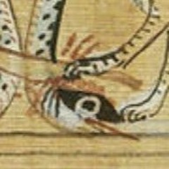 HIDDEN_LIBRARY_-_RATS_THOS_PUT