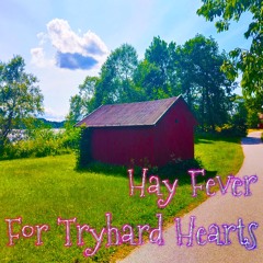 Hay Fever For Tryhard Hearts