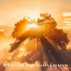 Morning sunshine