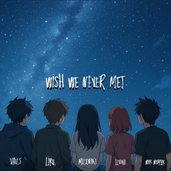 Wish we never met (feat. lluna, Milxnake, nvr nvmbr, Liru.)