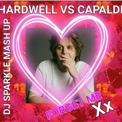 HARDWELL VS LEWIS CAPALDI FORGET ME