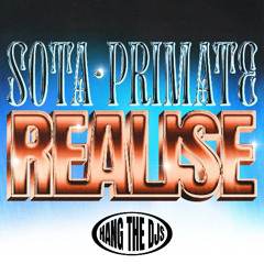 Sota x Primate - Realise (Hang The DJs Bootleg)