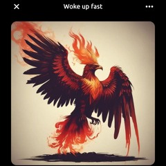 Woke up fast (1).mp3