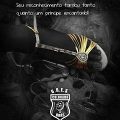 COLORADO 2021 - SAMBA 23