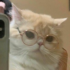 [Drum & Bass] Cat 1