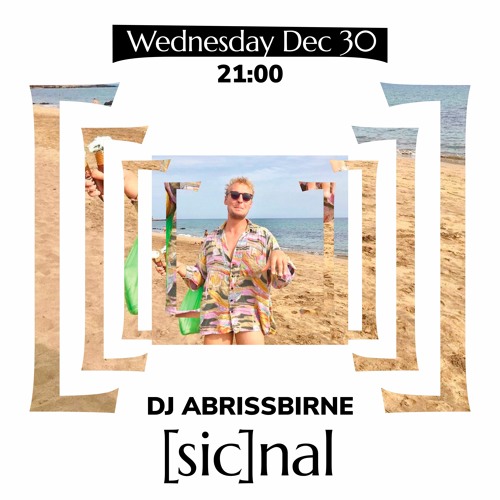 [sic]nal / 30 Dec / DJ Abrissbirne