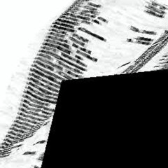 Terry Monetary rides a dromedary