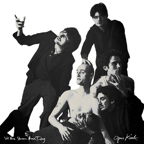 St. Paul of the Tarantulas