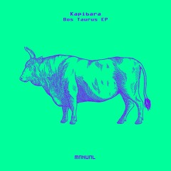 Kapibara - Bos Taurus (Raw District Remix)