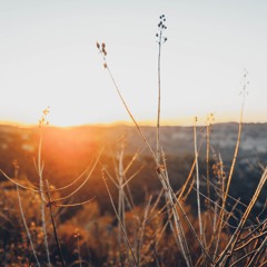 Elements