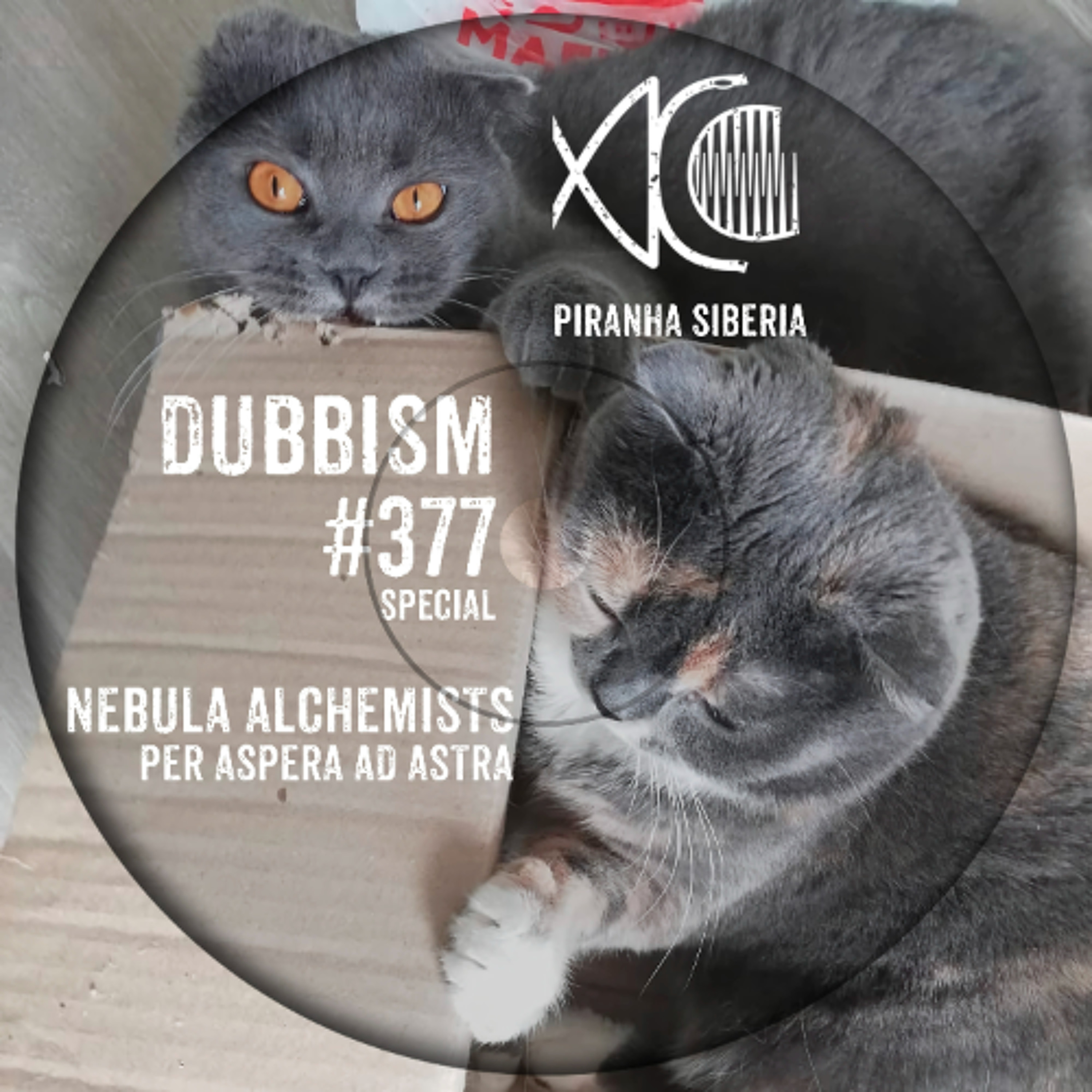 DUBBISM #377 - Nebula Alchemists episode artwork