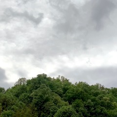 forestmatic | As The Wind Blows