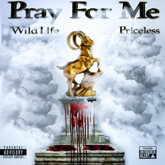 Pray For Me- WildLife X Priceless