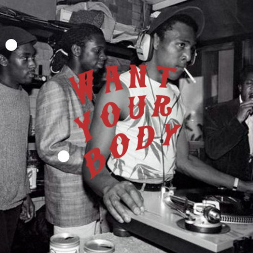 Want Your Body (fixed)
