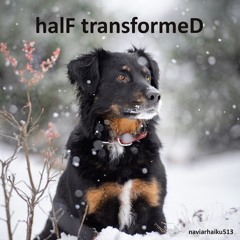 halF transformeD [naviarhaiku513]