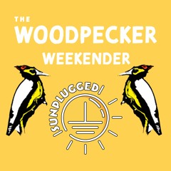 WOODPECKER WARM UP GUEST MIX Ft COOSE - BREAKS