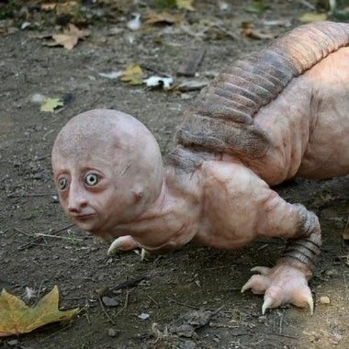 Godlo ~Lurk
