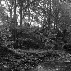 improv in between rehearsal