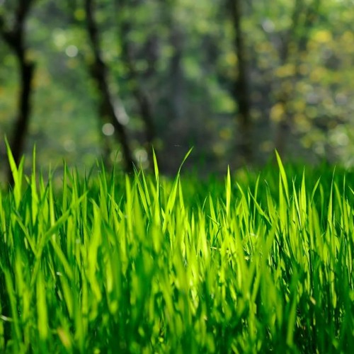 100s loading background DOWNLOAD