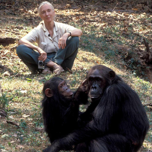 China’s Climate Pledge, Balcony Solar, Remembering Jane Goodall and more.