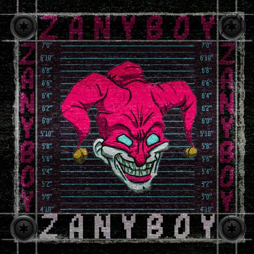 ZanyBoy