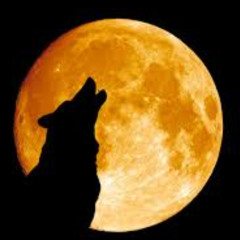 Moonlight Sonate First Movement