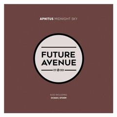APNITUS - Storm [Future Avenue]