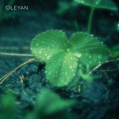 Rain on Forest Leaves
