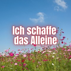 Ich schaffe das alleine (Pastiche/Remix/Mashup)