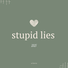 Stupid Lies