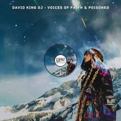 David King DJ - Poisoned (Original Mix)