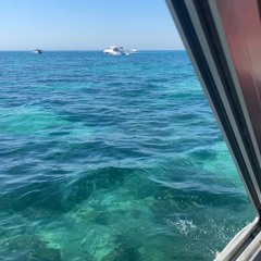 حي الله X كبيده 😜