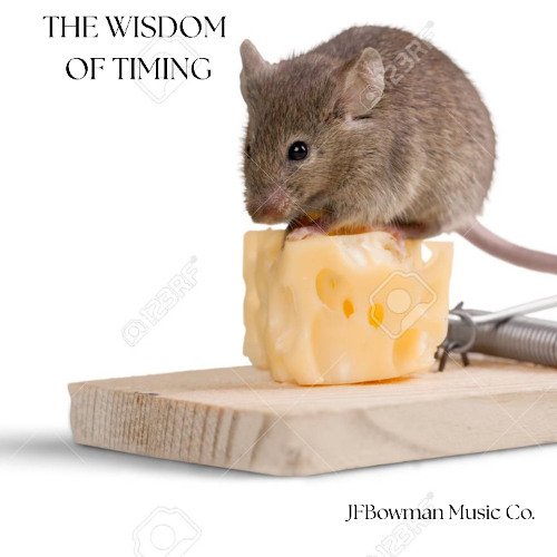 The Wisdom of Timing