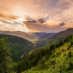 Flourishing Valley
