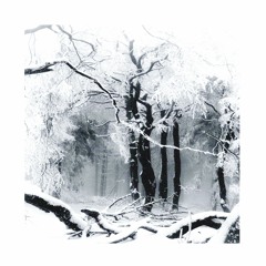 cxnspiracy - frostfall (cold vip)