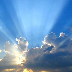 Survival (Of The Fittest)