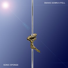 Snake Down A Poll
