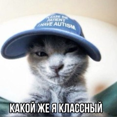 вайб и разъеб