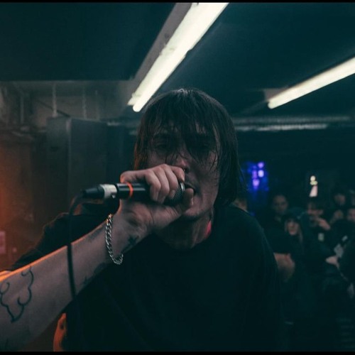 PUNK LINK - DAS DER PUNKSHIT AUS DER HOOD