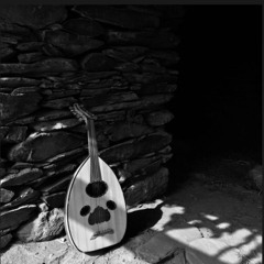 سلطان القزلان| انت مؤلم