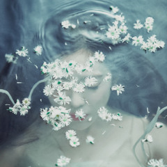 Like A Flower